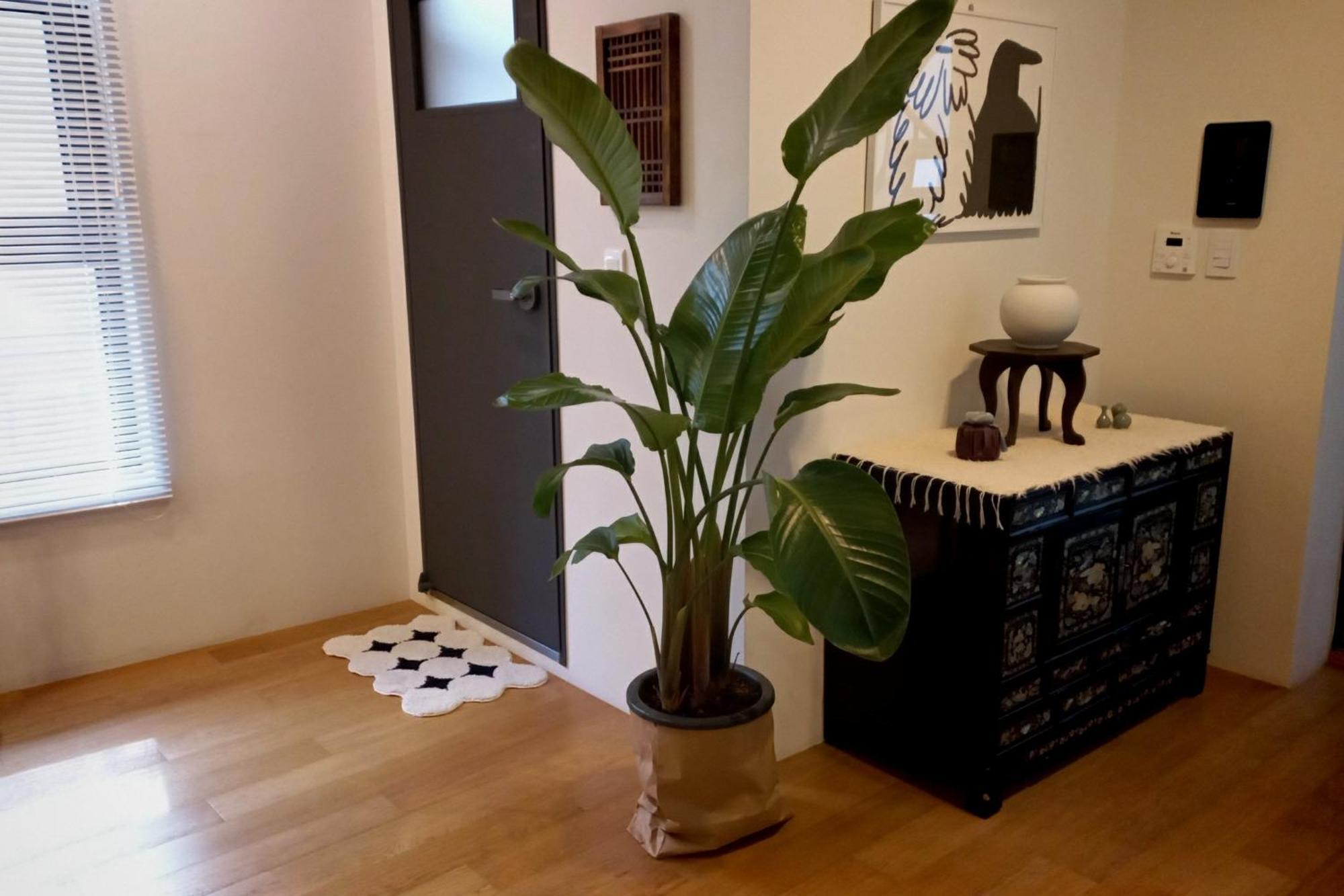 Korean Traditional Terrace House Séoul Extérieur photo